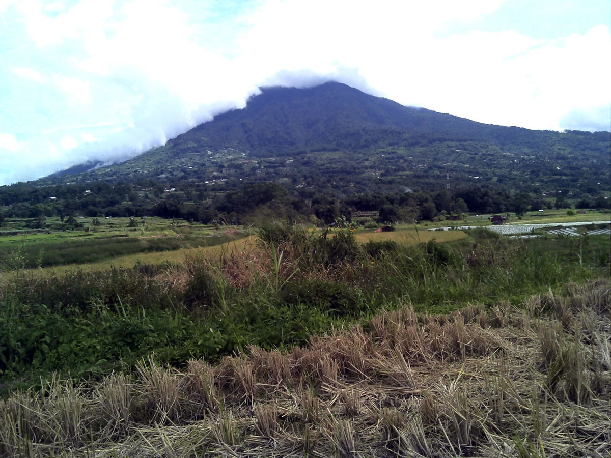 Geochemical fingerprinting of volcanic soils used for wetland rice in West Sumatra, Indonesia