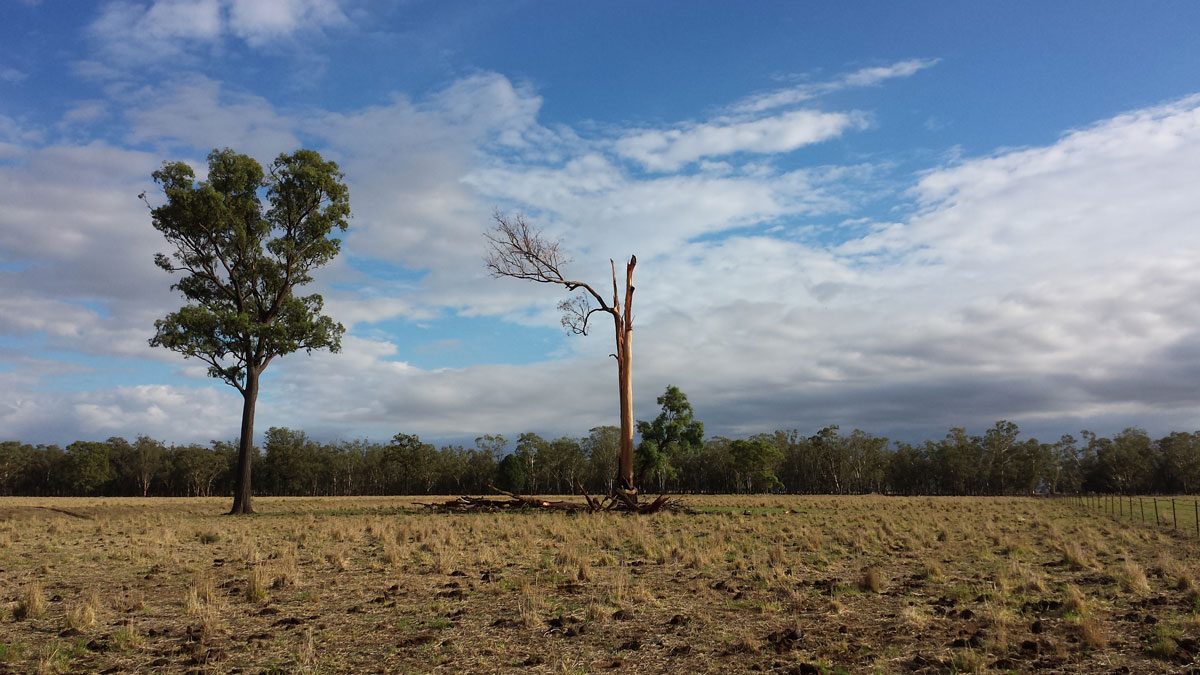 Digital soil mapping of soil carbon at the farm scale: A spatial downscaling approach
