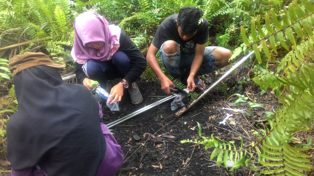 Digital mapping of peatland in West Sumatra