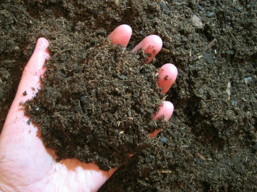Soil carbon 4p1000: Opportunities outweigh limitations