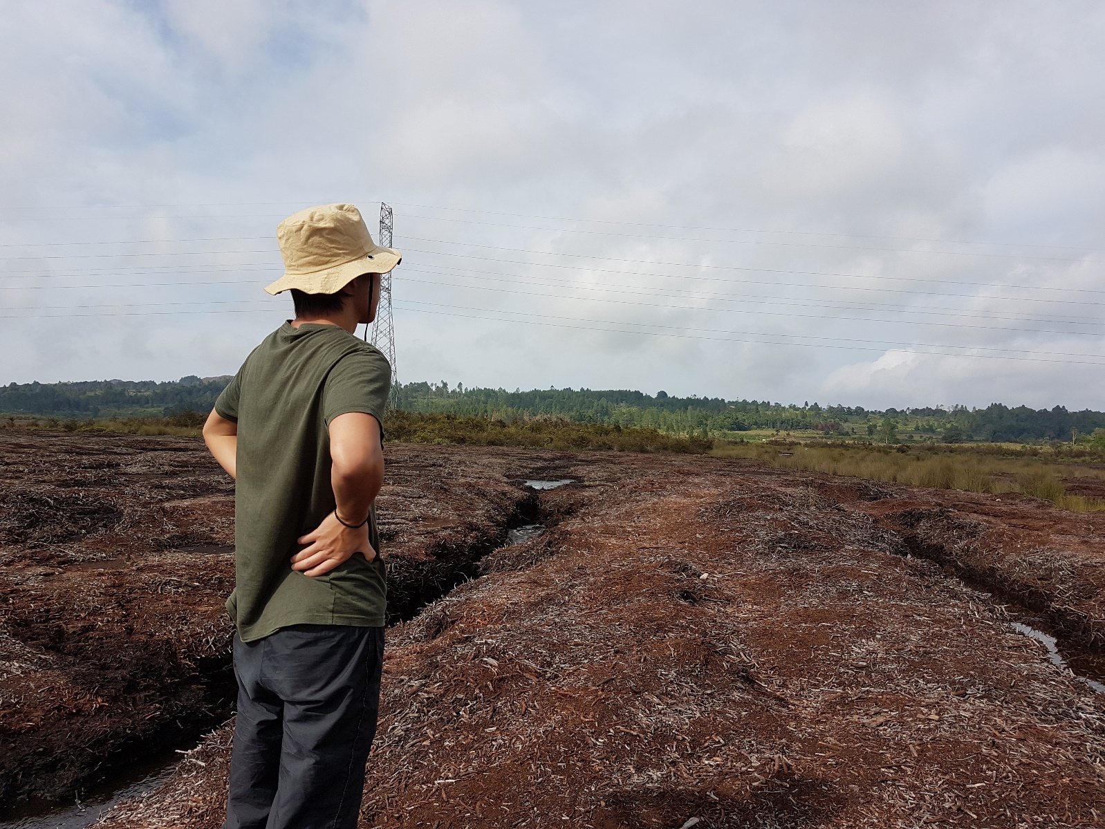 Toba Highland Peat